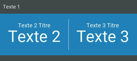 Texte 3 Accueil Affiché